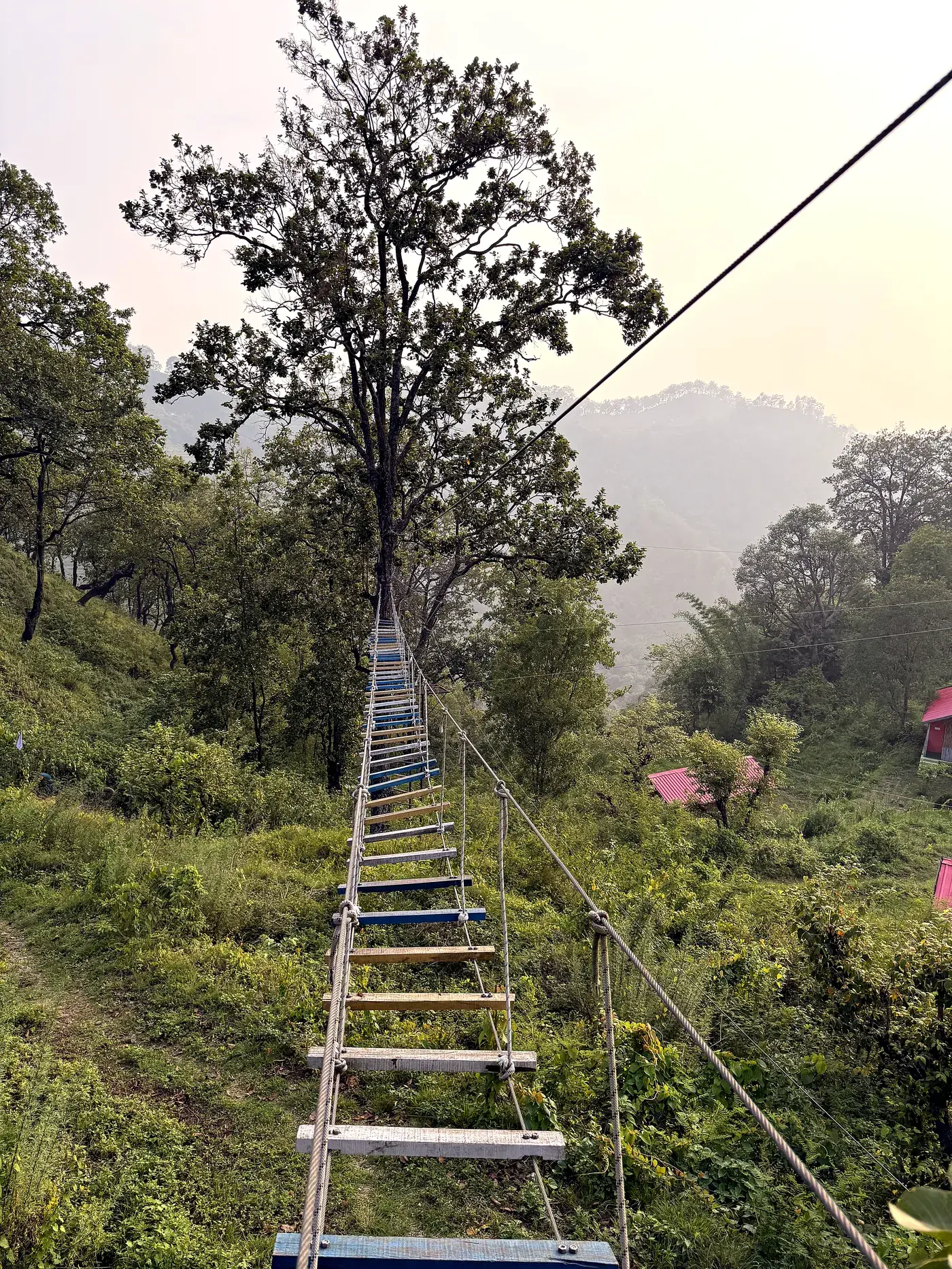 Rope bridge strung across the ravine