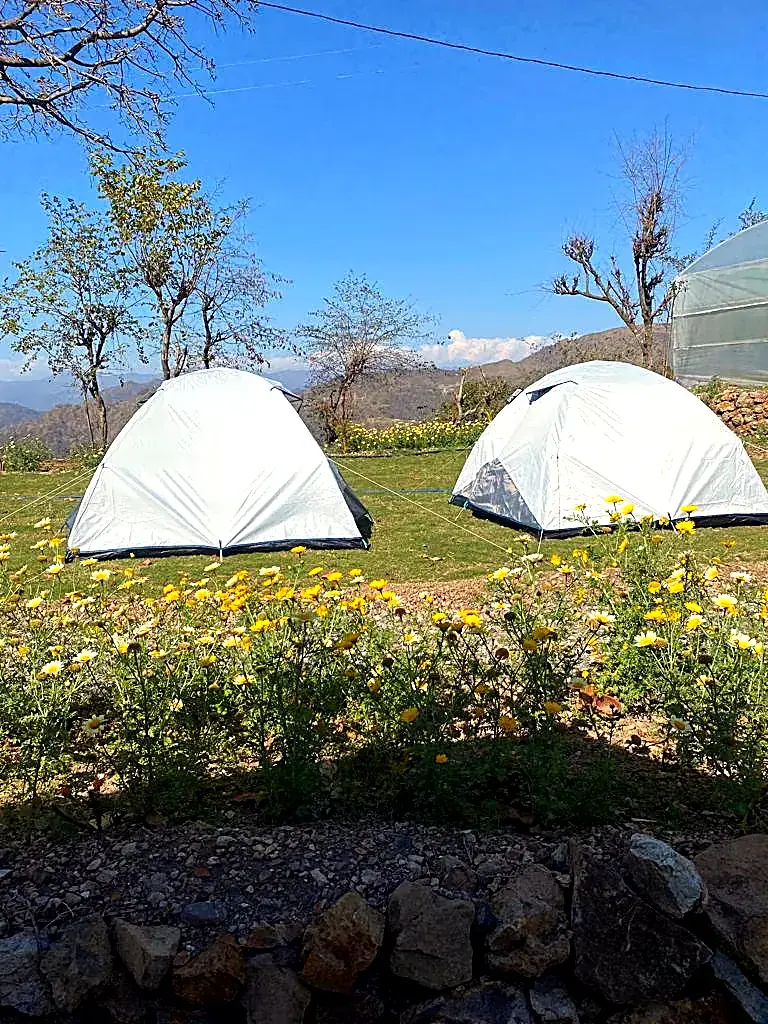 Seasonal Glamping Tent